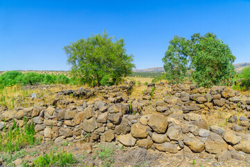 Ancient site of Bethsaida (Beit Tzeida)