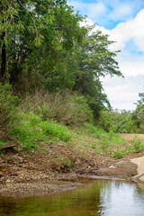 Fototapeta na wymiar Fresh water creek next to gravel road in Queensland