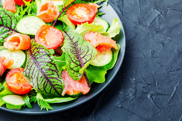 Mixed green salad with salted salmon