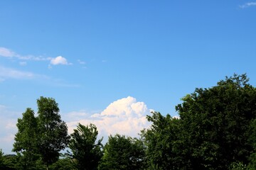新緑　雲　青空　六月　風景　茨城
