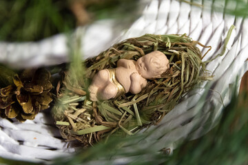 Figurine of Jesus in a bed of salome