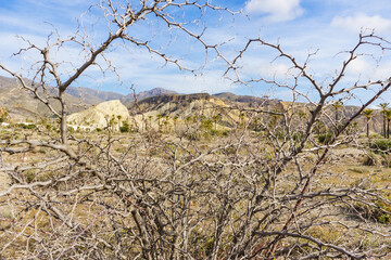 Sierra Alhamilla landscape, Spain.