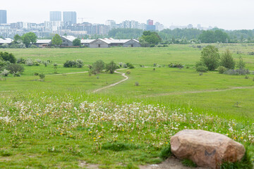 landscape of amager f&aelig;lled green area with a motel in the back