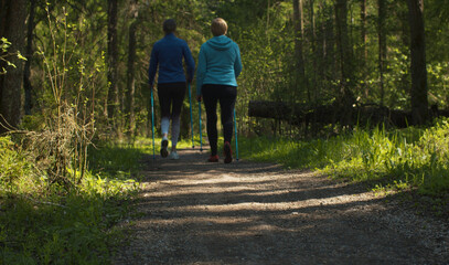 Fototapeta premium Nordic walking in the forest by dirt road