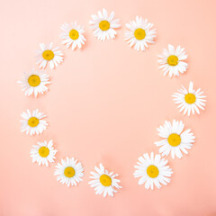 Beautiful floral composition with chamomile flowers. Wallpaper, greeting card to the celebration