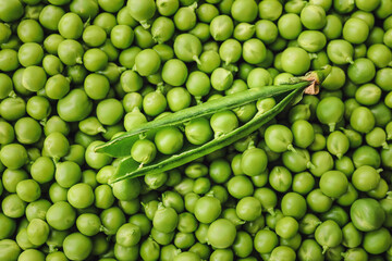 Fototapeta na wymiar Tasty fresh peas as background