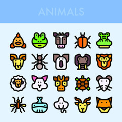 animal