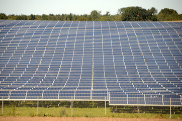 Field with solar panels on a soft slope.