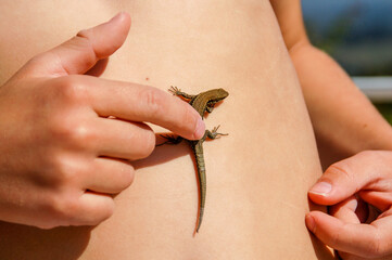 The boy and the lizard