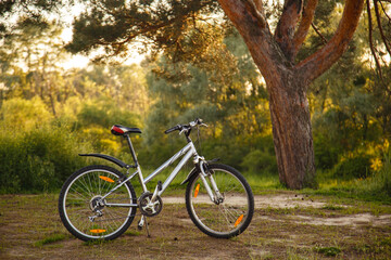 Fototapeta na wymiar bike on the beach in sunset sunlight. bicycle riding. Sport lifestyle. Eco friendly transport. Bicycle Parked In beautiful nature place near tree. Camping Trip. Enjoying of freedom & nature on bicycle