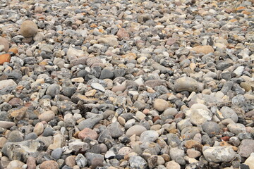 colorful pebbles on the beach