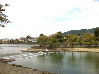 Fototapeta na wymiar Japanese people fishing in the river. 
