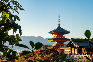 Fototapeta premium Świątynia buddyjska i pagoda Kiyomizu-dera w Kioto - jesienny widok przez liście z czystym błękitnym niebem, Japonia.