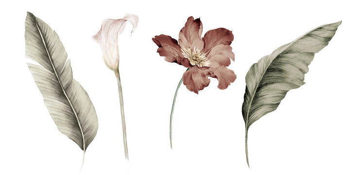 Flowers watercolor illustration.Manual composition.Big Set watercolor elements.