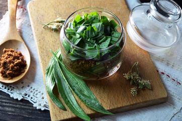 Herbal medicine.A jar filled with fresh ribwort  leaves (Plantago lanceolata) , and sugar, to prepare homemade syrup against cough