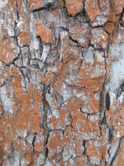 old brick wall texture