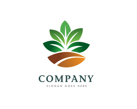 Simple abstract elegant plant grow up agriculture logo symbol design illustration
