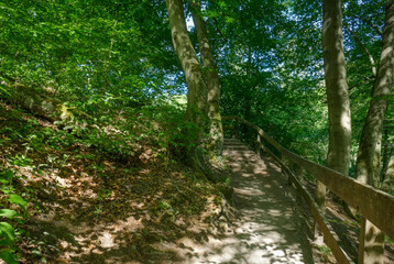 Wanderweg mit Treppen durch das Neandertal bei Mettmann
