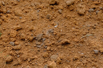 soil texture background