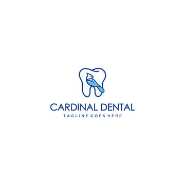 Creative modern cardinal bird on dental sign logo symbol template