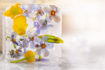 Transparent ice cubes with frozen flowers inside.
