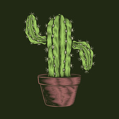 Hand drawing vintage cactus pot vector illustration