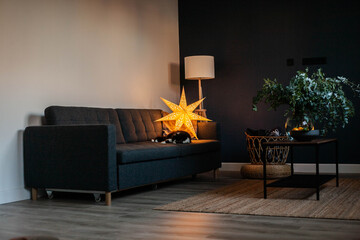 Cozy Dark blue room. Christmas star lighting. Grey sofa, minimalist style. Black cat. Hygge atmosphere.