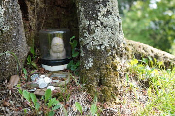 Fototapeta premium お地蔵様 木のムロ 御供物 ひっそりと 