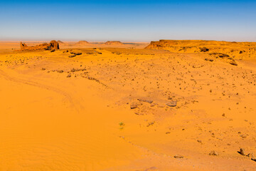 Fototapeta na wymiar Nature of Timimoun, Adrar Province, Algeria.