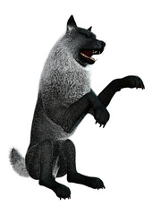 3D Rendering Black Wolf on White
