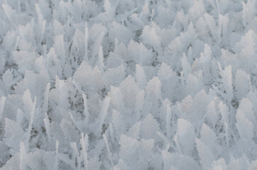 The texture of the snow.