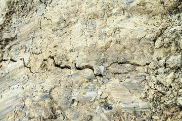 Texture of the dried loose earth and sand. Background for design.