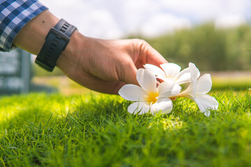 close-up of an unidentified person's hand placing porcelain flowers on the tomb