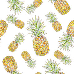 Pineapple on a white background. Watercolor colourful illustration. Tropical fruit. Seamless pattern for design.