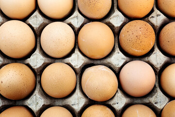 egg isolated on white