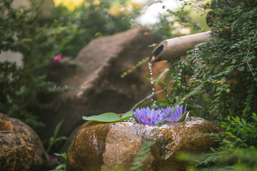 Beautiful zen garden with lotus flower and bamboo fountain on nature background