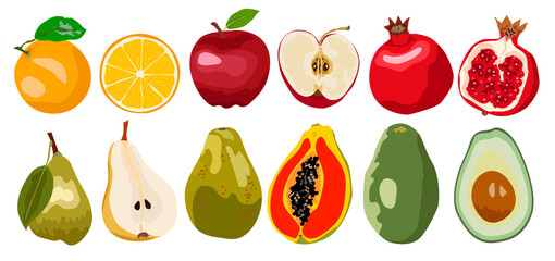 Fresh fruits vector collection. Set of sweet fruits for health orange, apple, pomegranate, pear, papaya, avocado . Design for greeting card, recipe, menu