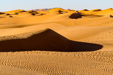 Fototapeta na wymiar Dunes of the Sahara desert