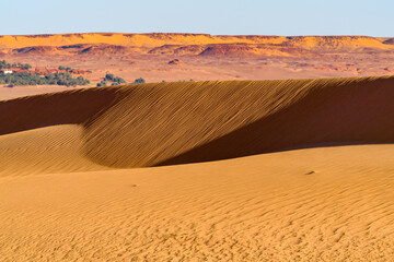 Dunes of the Sahara desert