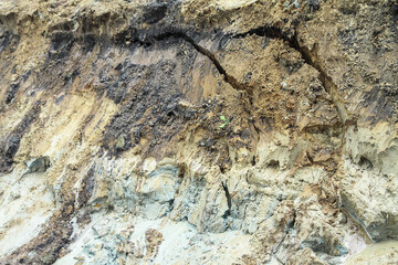Dug hole in the ground is filled with water to the level. Swamp from the element that destroyed human activity. Stock abstract background