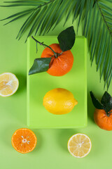 Bright colorful flat lay of tangerines, lemons and tropical leaves, creative design background