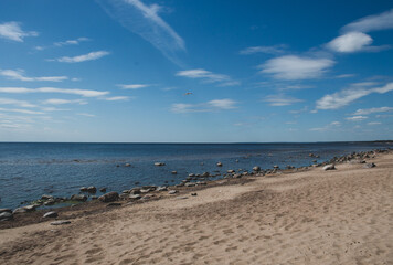 sand beach on the Gulf of Finland 