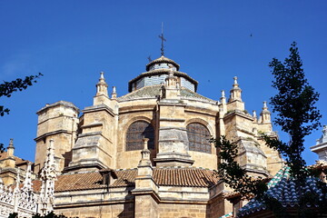 Cathedral of Incarnation in Granada city. Andalusia, Spain.