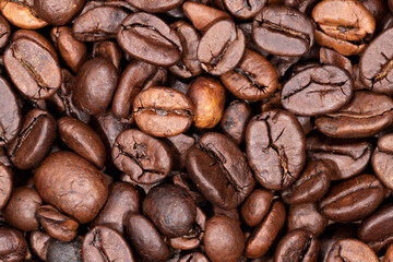 Coffee Beans Color Texture Pattern Close-Up Macro Background Wallpaper