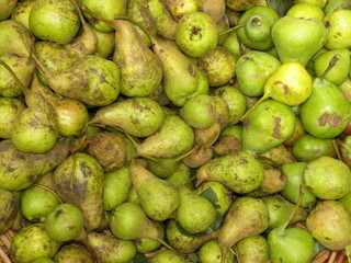 Green Pear fruits