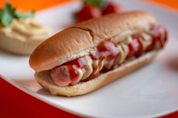 Tasty hot dog on white plate