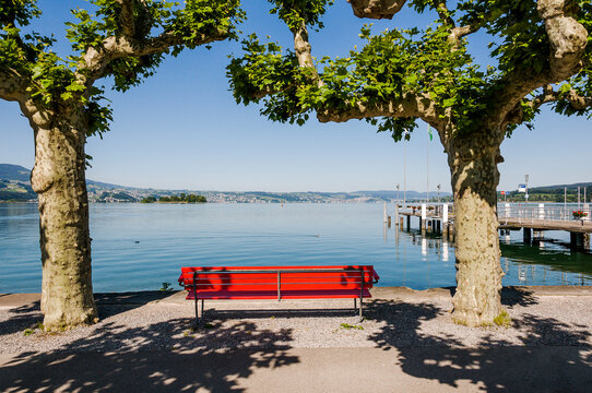 Rapperswil, Z&uuml;richsee, Seeufer, Hafen, Schiffssteg, Parkbank, Boote,  Seerundfahrt, Insel L&uuml;zelau, Insel, Ufnau, Rapperswil-Jona, Seedamm, Holzbr&uuml;cke,  Sommer, Schweiz