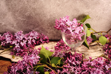 Purple Lilacs Agains Concrete