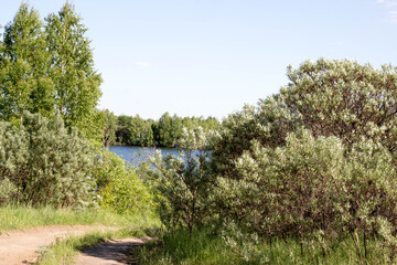 beautiful views of the reservoir among the greenery paths to the water