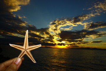 Obraz na płótnie Canvas A starfish next to a beautiful sunset